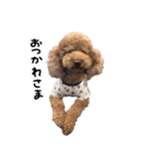 ぷーじーかわいいね（個別スタンプ：17）