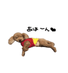 ぷーじーかわいいね（個別スタンプ：18）