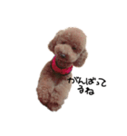 ぷーじーかわいいね（個別スタンプ：20）
