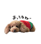 ぷーじーかわいいね（個別スタンプ：24）