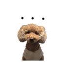 ぷーじーかわいいね（個別スタンプ：25）