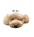 ぷーじーかわいいね（個別スタンプ：26）