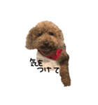 ぷーじーかわいいね（個別スタンプ：27）