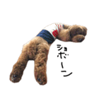 ぷーじーかわいいね（個別スタンプ：28）