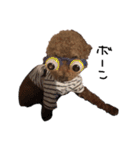 ぷーじーかわいいね（個別スタンプ：30）