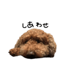 ぷーじーかわいいね（個別スタンプ：31）