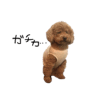 ぷーじーかわいいね（個別スタンプ：34）