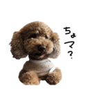 ぷーじーかわいいね（個別スタンプ：35）