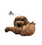 ぷーじーかわいいね（個別スタンプ：37）