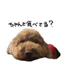 ぷーじーかわいいね（個別スタンプ：38）