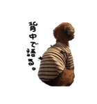 ぷーじーかわいいね（個別スタンプ：39）