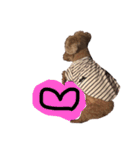 ぷーじーかわいいね（個別スタンプ：40）