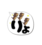 激しく尻尾をふるイヌ【でか文字篇】（個別スタンプ：9）