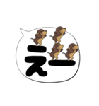 激しく尻尾をふるイヌ【でか文字篇】（個別スタンプ：18）