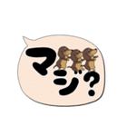 激しく尻尾をふるイヌ【でか文字篇】（個別スタンプ：20）