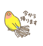 コザクラさんの日常会話（個別スタンプ：16）