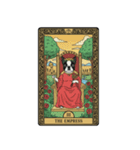 ボストンテリアのタロットカード（個別スタンプ：4）