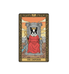 ボストンテリアのタロットカード（個別スタンプ：5）