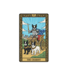 ボストンテリアのタロットカード（個別スタンプ：8）