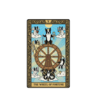 ボストンテリアのタロットカード（個別スタンプ：11）