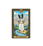 ボストンテリアのタロットカード（個別スタンプ：15）
