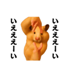 踊る！横揺れ界隈キンクマハムスター（個別スタンプ：2）