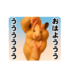 踊る！横揺れ界隈キンクマハムスター（個別スタンプ：5）
