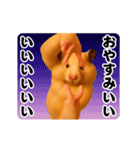 踊る！横揺れ界隈キンクマハムスター（個別スタンプ：6）