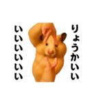 踊る！横揺れ界隈キンクマハムスター（個別スタンプ：7）