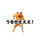 踊る！横揺れ界隈キンクマハムスター（個別スタンプ：9）