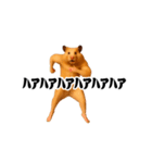 踊る！横揺れ界隈キンクマハムスター（個別スタンプ：11）