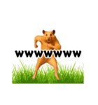 踊る！横揺れ界隈キンクマハムスター（個別スタンプ：12）