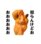 踊る！横揺れ界隈キンクマハムスター（個別スタンプ：15）