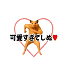 踊る！横揺れ界隈キンクマハムスター（個別スタンプ：20）