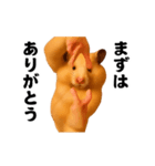 踊る！横揺れ界隈キンクマハムスター（個別スタンプ：21）