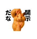 踊る！横揺れ界隈キンクマハムスター（個別スタンプ：22）