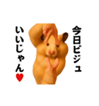 踊る！横揺れ界隈キンクマハムスター（個別スタンプ：23）