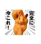 踊る！横揺れ界隈キンクマハムスター（個別スタンプ：24）