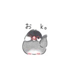 おふざけ文鳥（個別スタンプ：7）