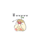 おふざけ文鳥（個別スタンプ：13）