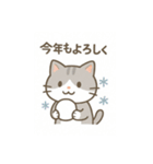 柴犬が日本の四季を紹介するスタンプ（個別スタンプ：1）