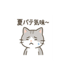 柴犬が日本の四季を紹介するスタンプ（個別スタンプ：15）