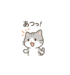 柴犬が日本の四季を紹介するスタンプ（個別スタンプ：17）