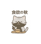 柴犬が日本の四季を紹介するスタンプ（個別スタンプ：22）