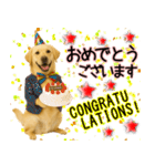 ラブラドールレトリバー★気遣いと感謝♡（個別スタンプ：4）