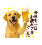 ラブラドールレトリバー★気遣いと感謝♡（個別スタンプ：6）