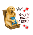 ラブラドールレトリバー★気遣いと感謝♡（個別スタンプ：7）