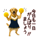 ラブラドールレトリバー★気遣いと感謝♡（個別スタンプ：8）