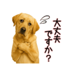 ラブラドールレトリバー★気遣いと感謝♡（個別スタンプ：9）