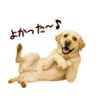 ラブラドールレトリバー★気遣いと感謝♡（個別スタンプ：13）